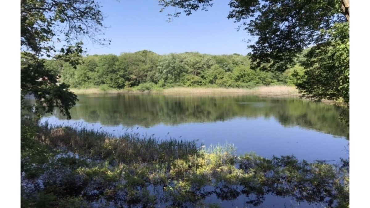 Saunderstown House | Enjoy the deck with pond view! Great Location, Rt 1A. 4 BR-all Queens, 2.5 Bath