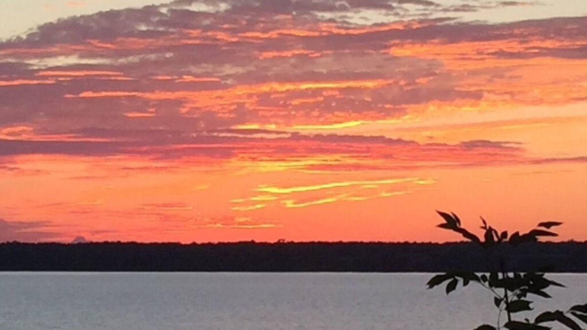 Bongard House | Enjoy the Summertime Beaches, Concerts and Events in Prince Edward County