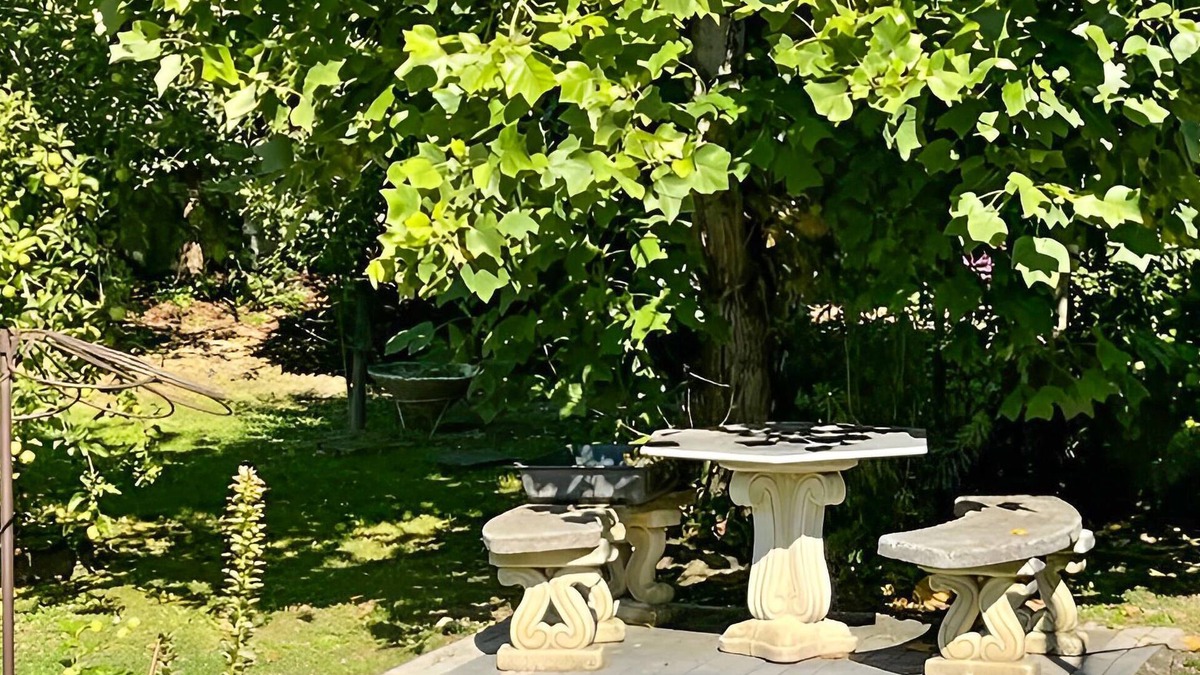 Corre Apartment | Enjoy the tranquility of nature during your vacation with relaxing walks.