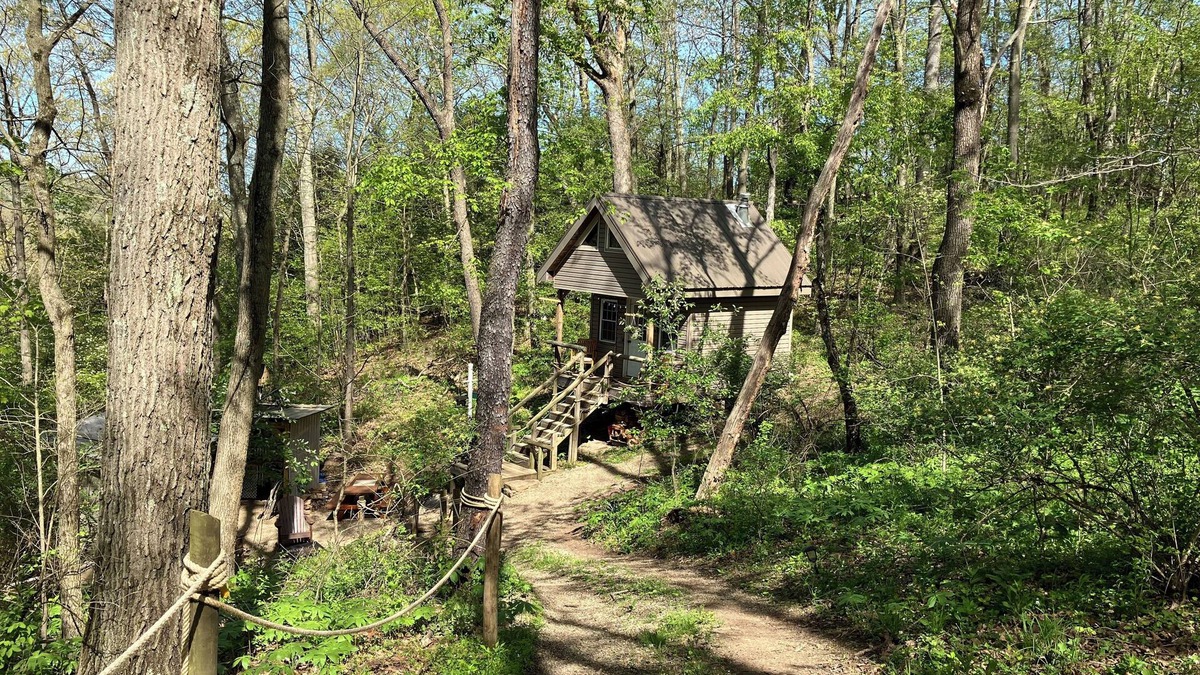 Negley Cabin | Enjoyable 2-bed cabin in Negley