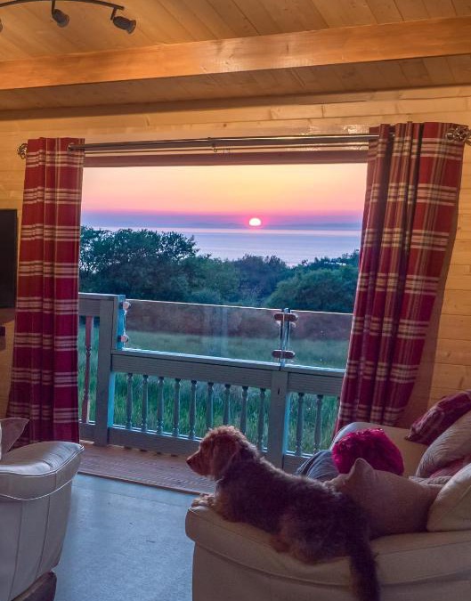 Borth Apartment | Enlli Fach cabin sleep's 2 adults and 2 children 2 dogs welcome not suitable for contract workers due to parking height restrictions