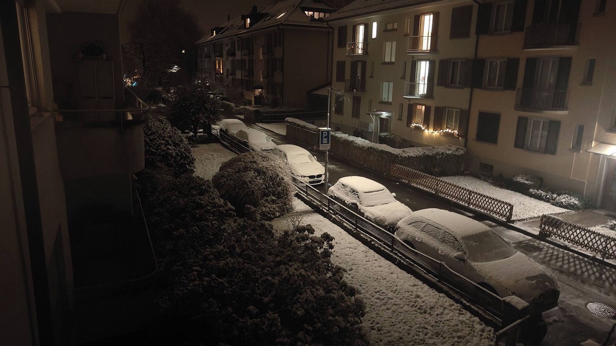 Wollishofen Apartment | Entire 2-bedroom apartment near central Zurich