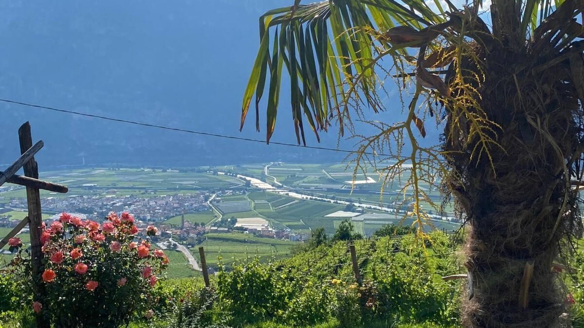 Lavis Apartment | Entire accommodation surrounded by nature with beautiful panoramic terrace