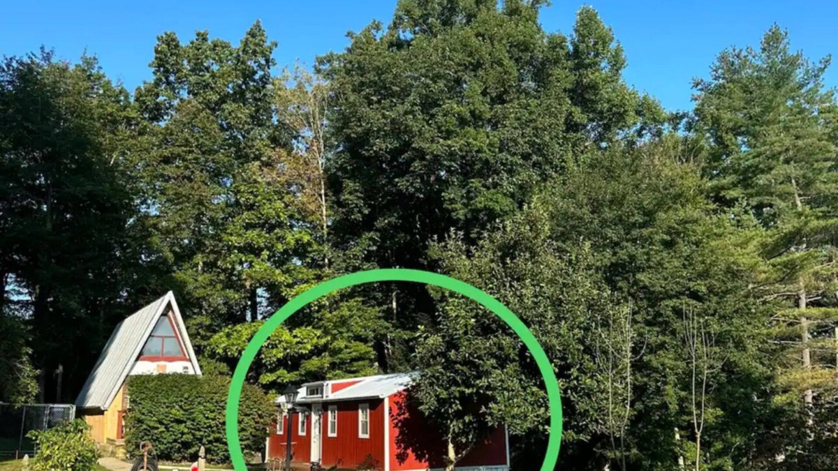 Sutton Cabin | Entire cabin 1 bedroom, 1 sofa bed