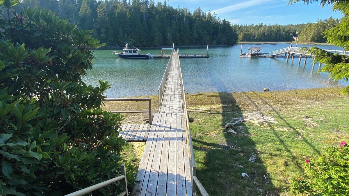 Bamfield Cabin | Entire cottage in Bamfield, oceanfront property Hilltop cabin with dock.
