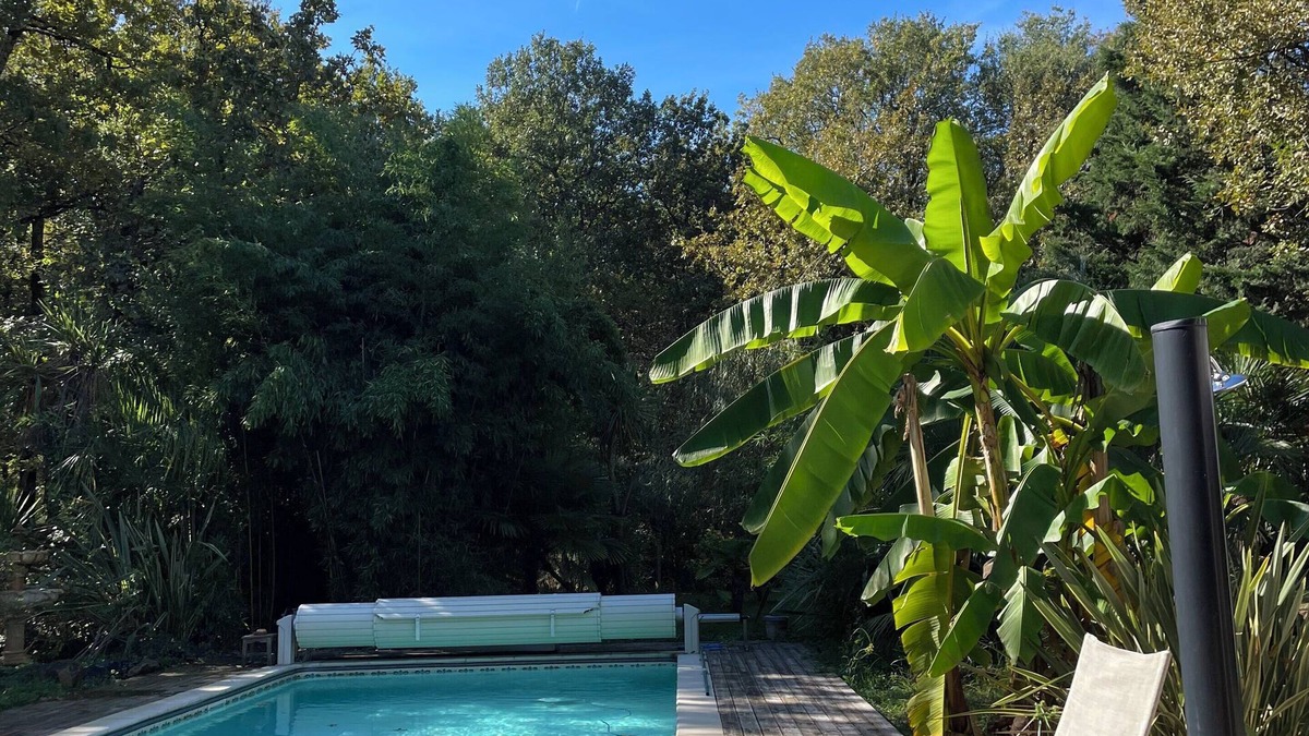 Cepet House | Entire cottage on large wooded plot Ideal for groups of up to 12 people
