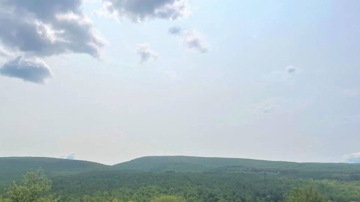 White Cabin | Entire home in Champion PA