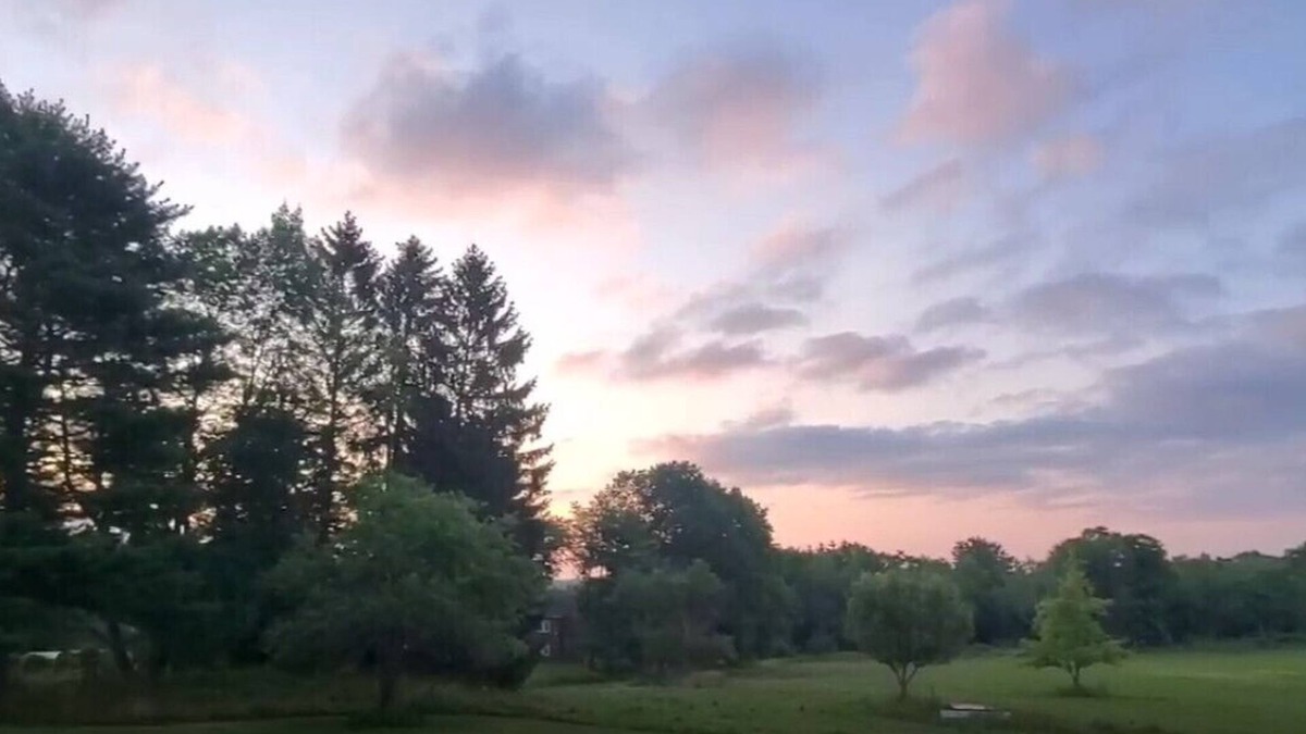 Rowland House | Entire home w 100 Acre+ hunting space