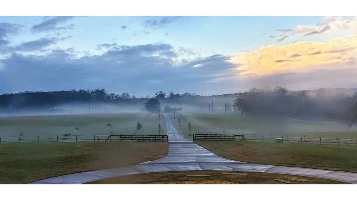 McDonough House | Entire House & Horse Farm - Outside Atlanta