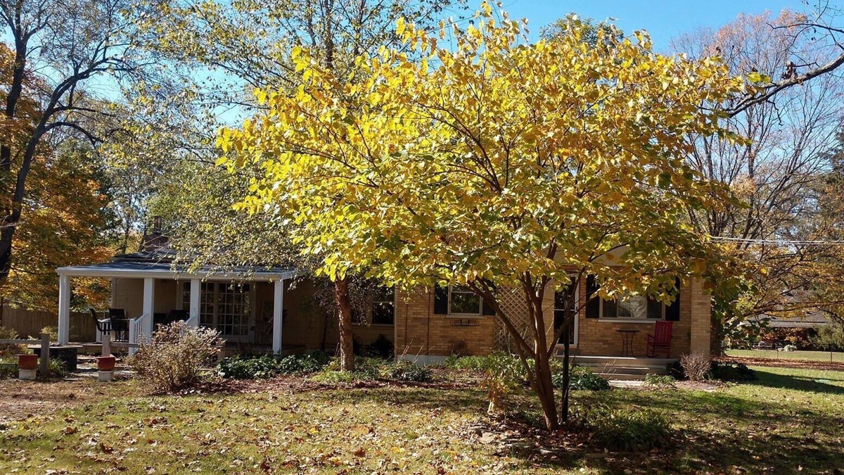 Loveland House | Entire House Private Retreat on the Little Miami River