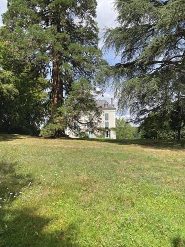 Saint-Regle Bed & Breakfast | Entre les branches