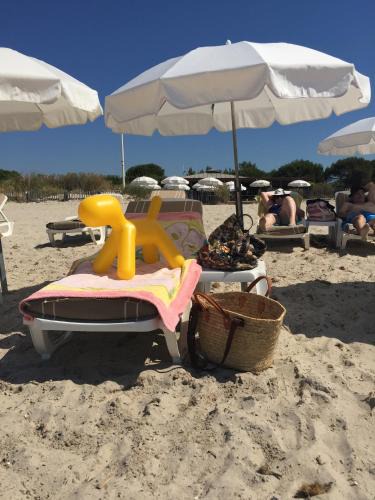 Les Sablettes Apartment | Entre mer et mer