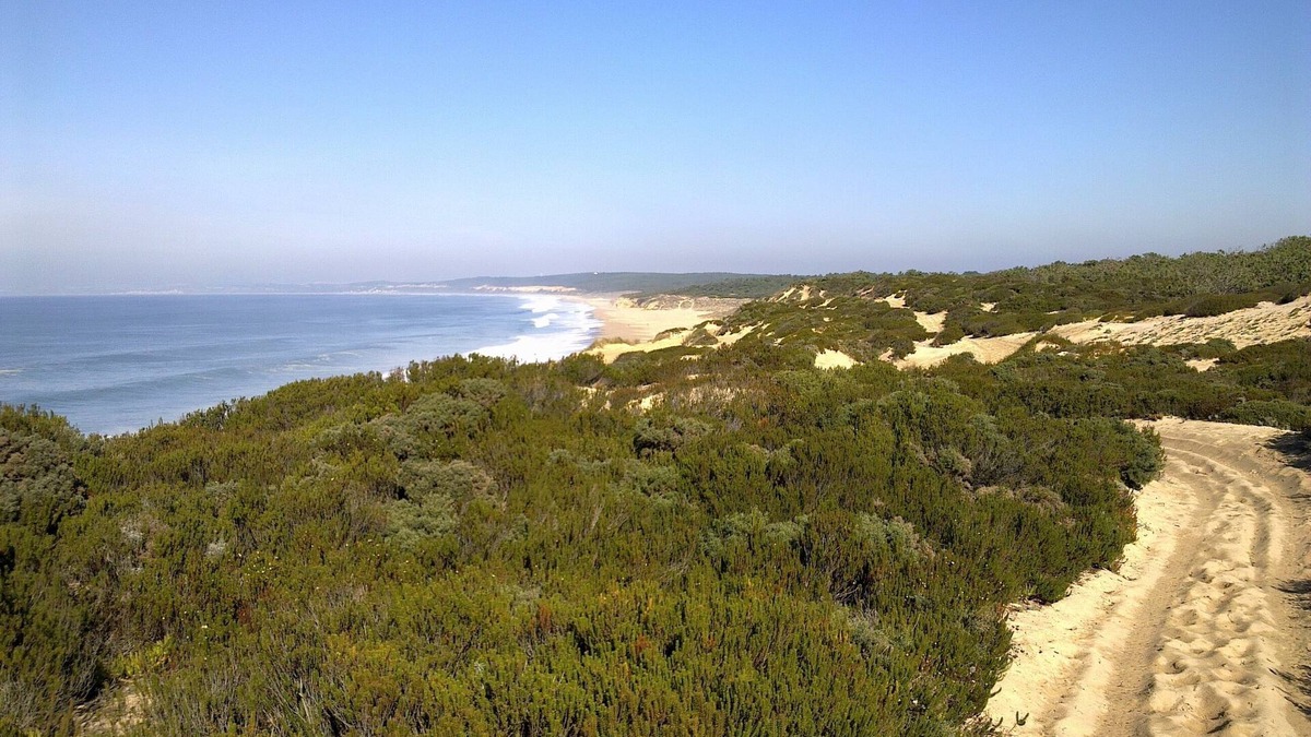 Meco House | Entre plage et pineède forest
