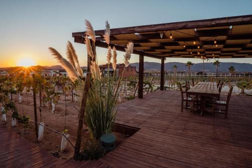 Valle de Guadalupe Hotel | Entrevalle Hotel Boutique