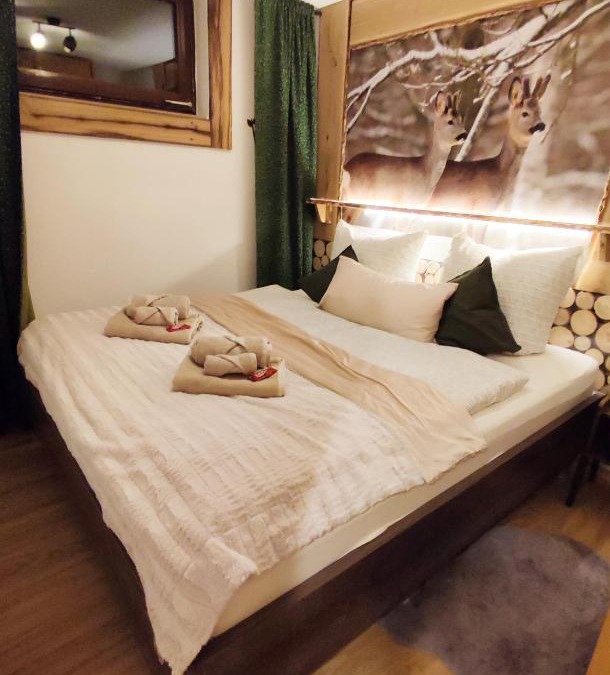 Tonbach Apartment | Entspannung pur mit DaheimGefühl