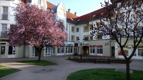 Sarospatak Apartment | Erdélyi vendégház