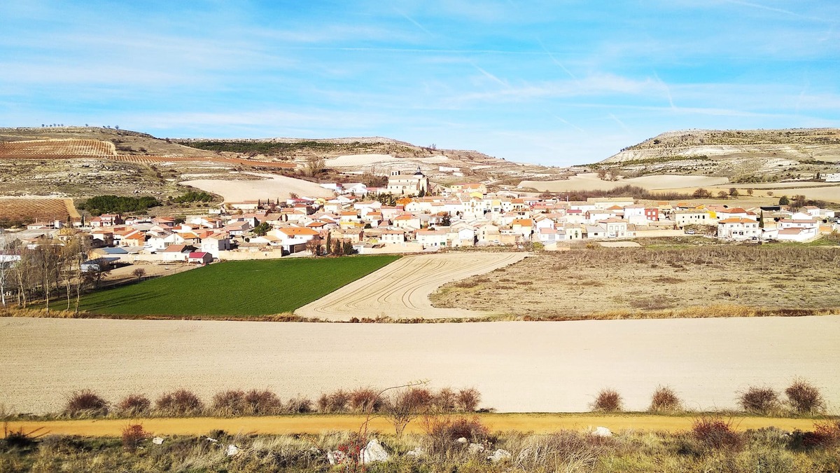 Castrillo de Duero Cottage | Casa Rural "María y Daniel" an ideal rest in the middle of nature.