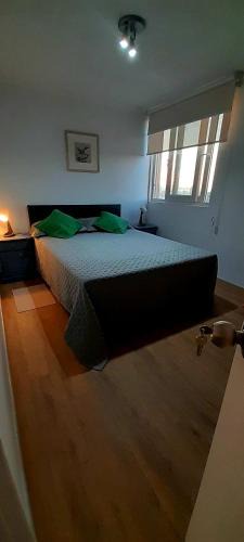 Vina del Mar Apartment | Escápate a Viña en pareja en este departamento precioso!