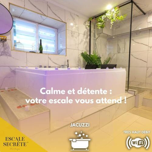 Montargis Apartment | Escale secrète Montargis Jacuzzi Terrasse Parking gratuit