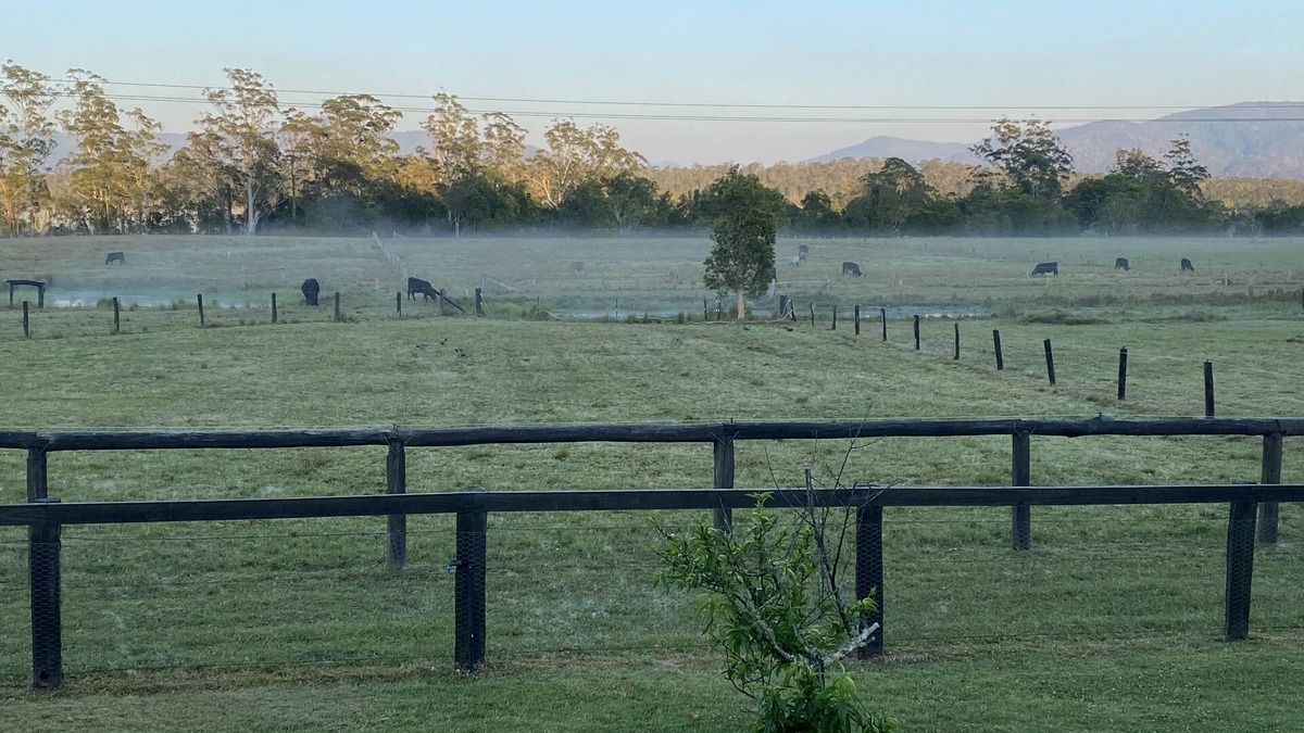 Bulahdelah House | Escape on 50 acres on the Buladelah river. Accommodation for upto 10 people.