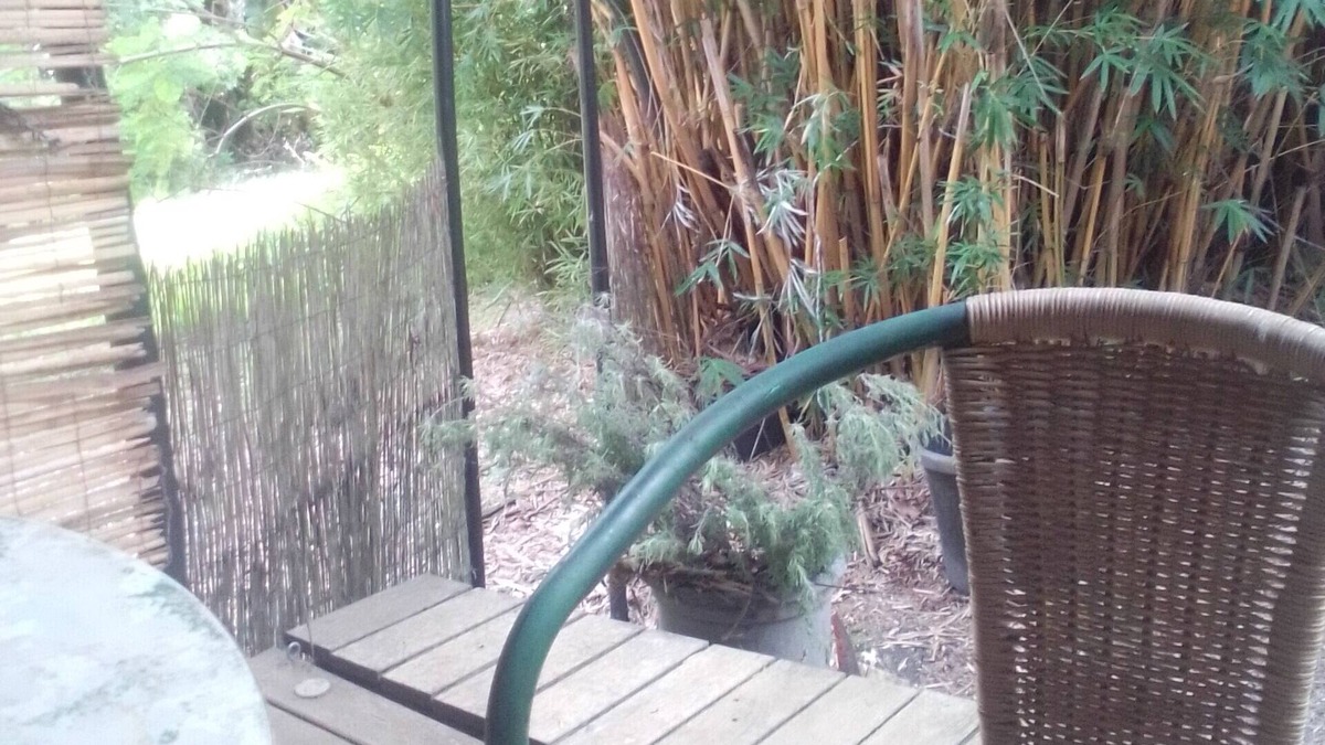 Blue Knob Apartment | Escape to a beautiful, bushland setting in the rainforest. 5ks to village