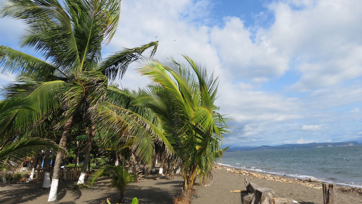 Barrio Las Playitas House | Escape to Pier Sands Casita#2, Min Walk From Beach