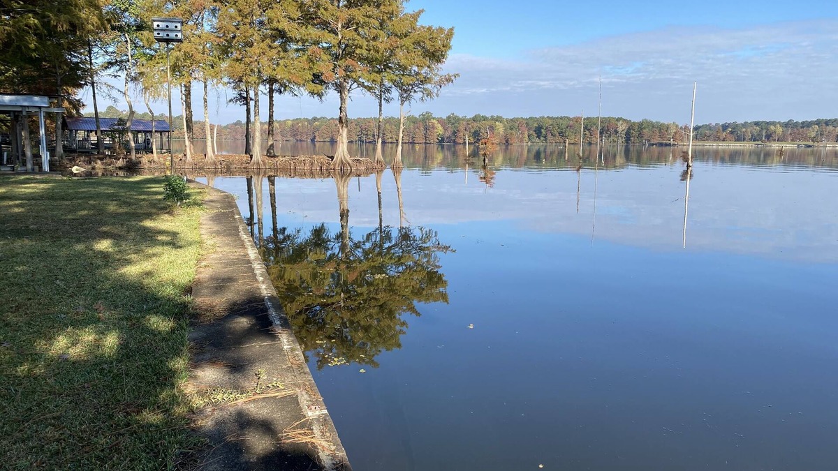 Farmerville House | Escape to Serenity Lake House on Lake D'Arbonne, Fire Pit, Porch and Boat House
