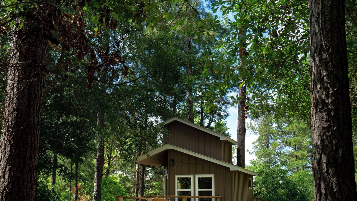 Mount Olive Cabin | Escape to the Canopy: Enchanting Treehouse Retreat in the Heart of Nature