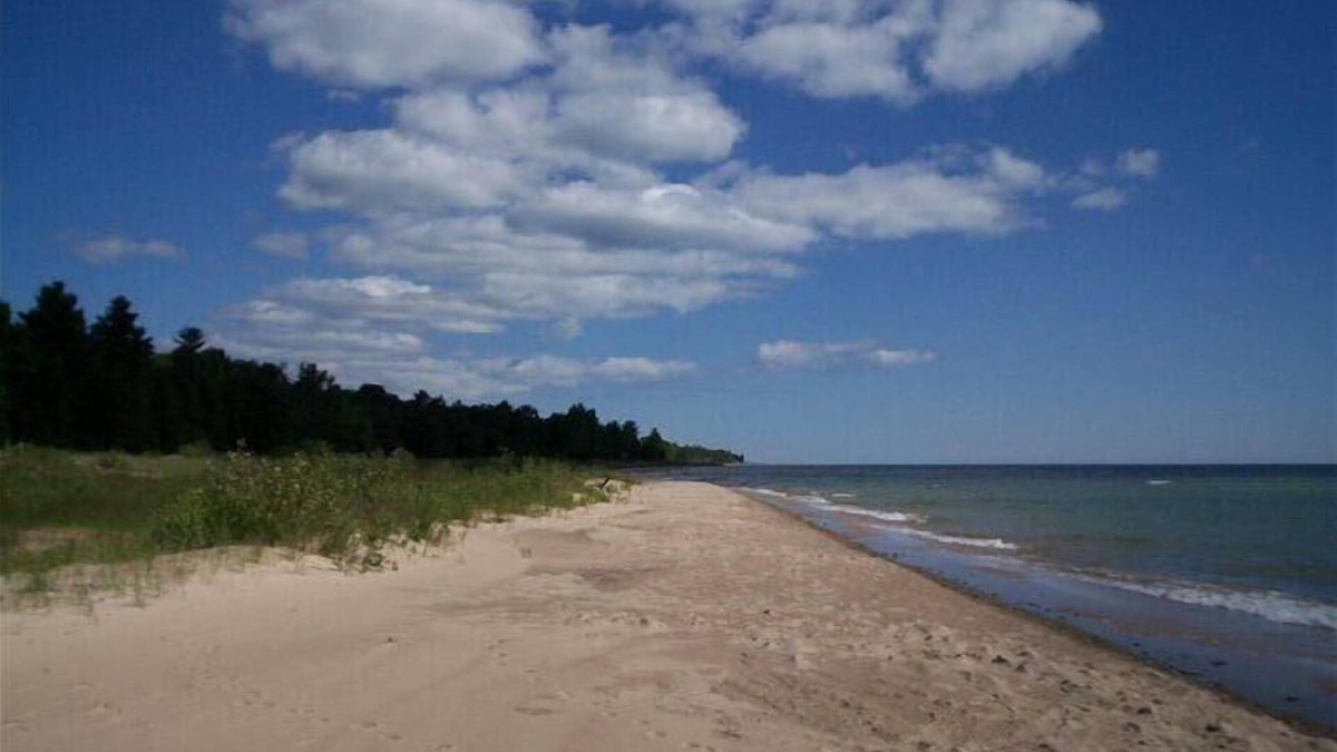 Greenbush Cottage | "Escape to Timeless Charm: Your Year-Round Vintage Getaway Awaits!"