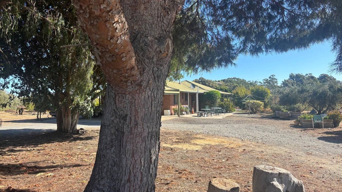 Willunga Other | Escape to Willunga Farmhouse. Attractions Willunga Market, Wineries, Walking