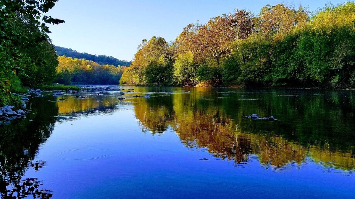 Shenandoah Cottage | Escape to your cozy 2-bed 2-bath river front cottage near Shenandoah Natl Park