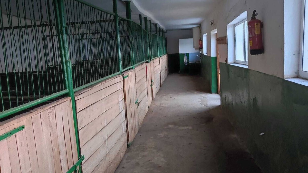 Gulyantsi House | ESCUS HORSES