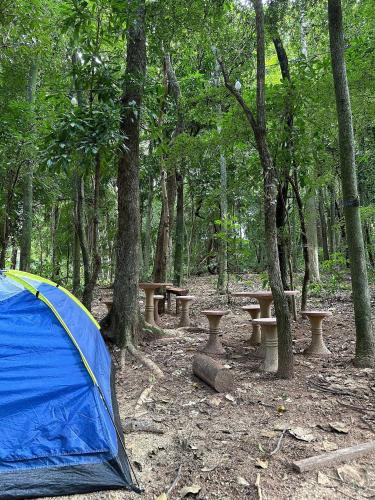 Itapira Other | Espaço camping - Barraca 2