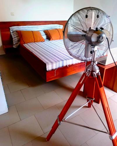 Palmarin House | ESPACE COLIBRI