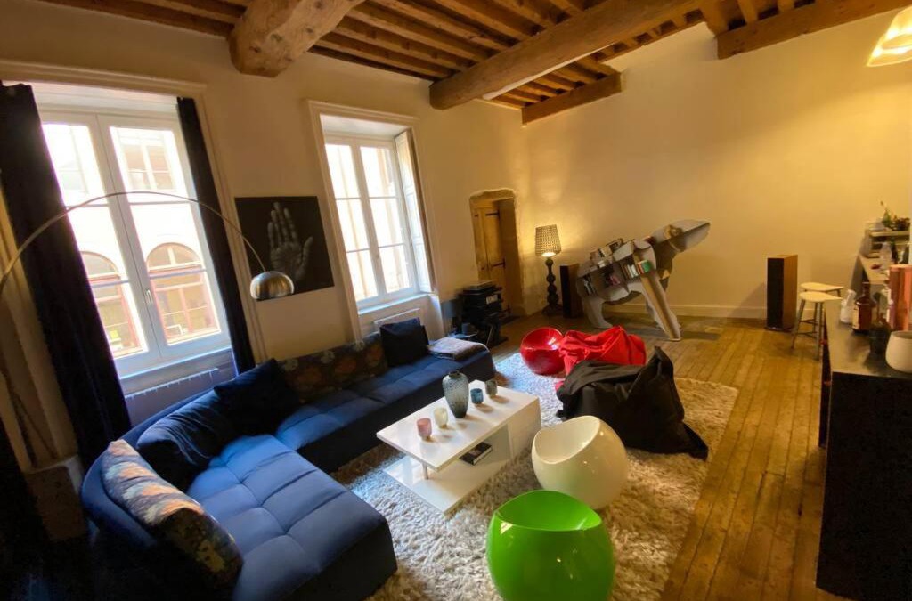 Griffon - Royale Apartment | Esprit Loft Design hyper centre Lyon 1er