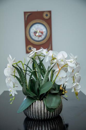 Iringa Apartment | Essence House