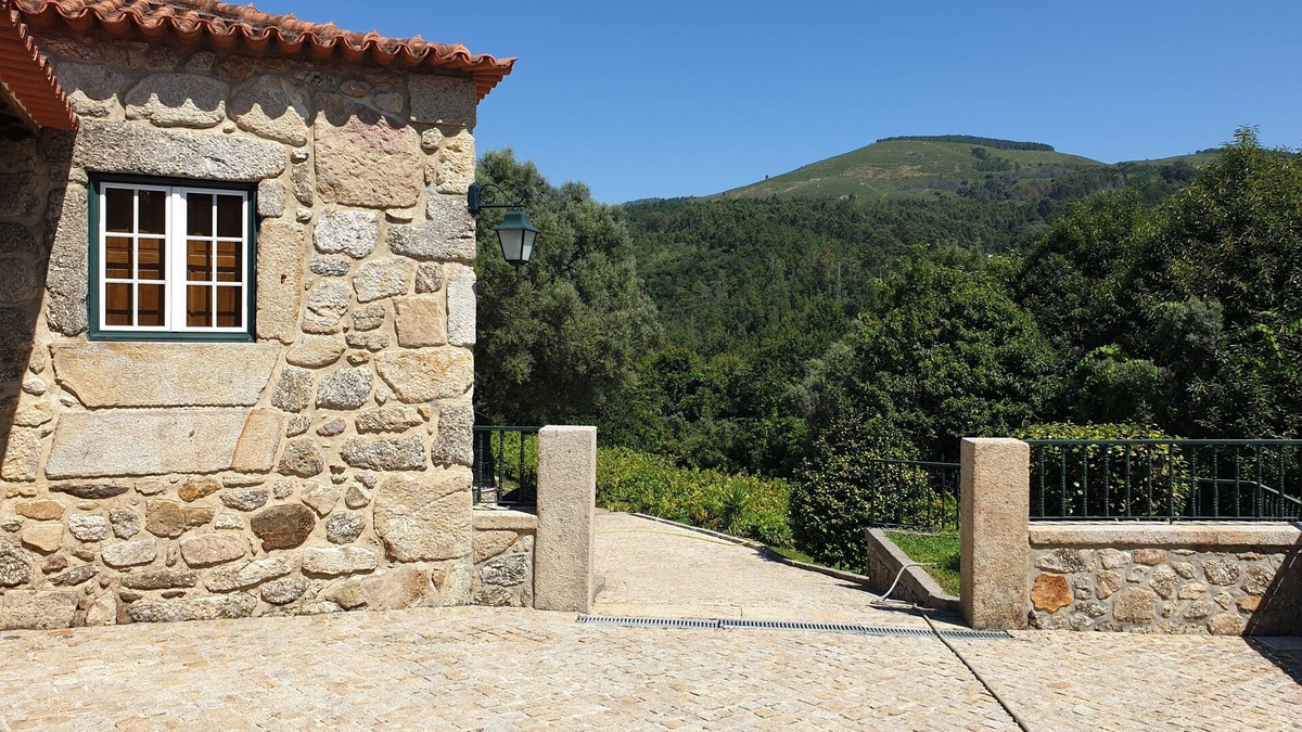 Bico Other | Estate of Vinha Velha