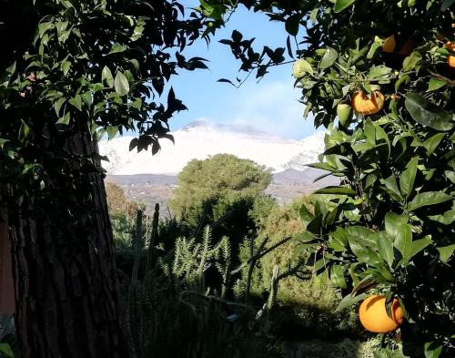 Giarre Apartment | ETNA MARE Jonio