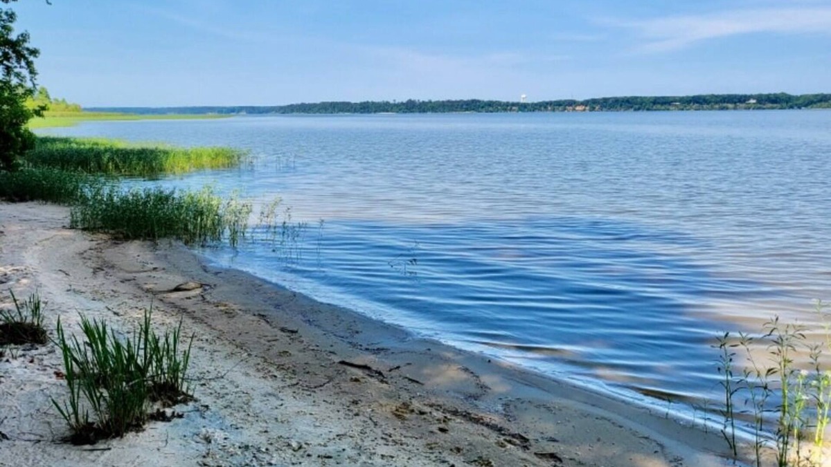 Georgetown House | “Eufaula Cottage” Charming Lakefront Cottage