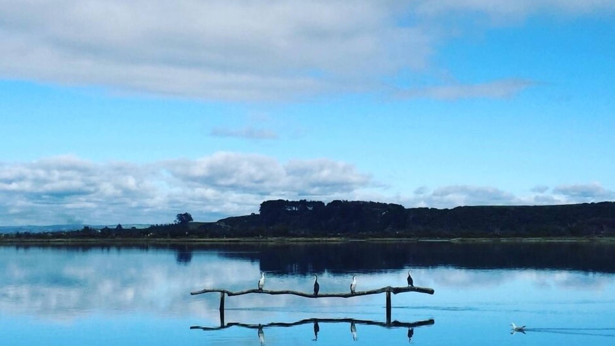 Pukehina Condo | EUNOIA overlooking the Estuary - Pukehina Beach , SPA available