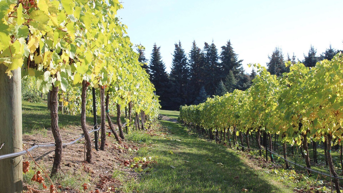 Bigfork House | EV Charger, Vineyard, Championship Golf Course all with a Beautiful Water View!
