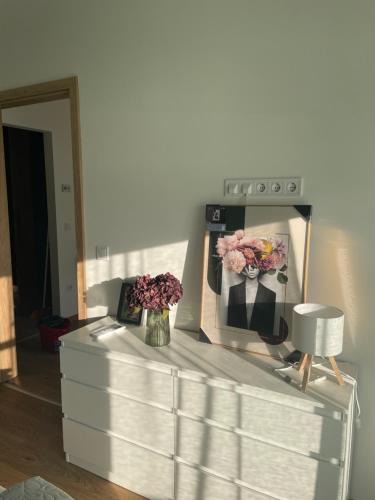 Pusztavacs Apartment | Evergreen Apartment Szeged