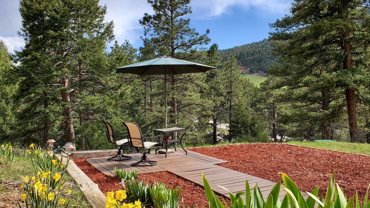 Homestead Apartment | Evergreen Morrison Mountain & Red Rocks Retreat
