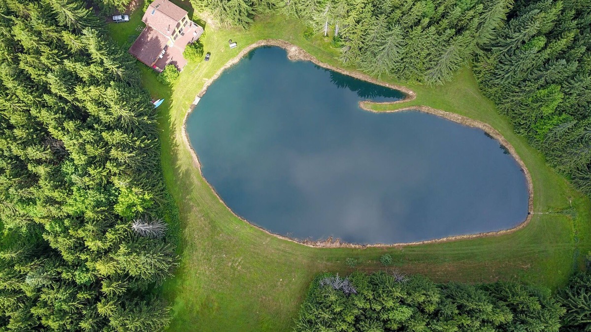 Branchport House | Evergreen Vista - quiet country house in the Finger Lakes