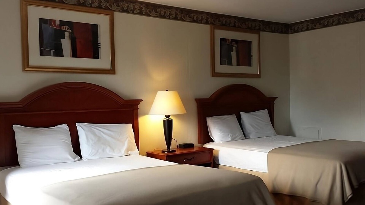 Campbelltown Hotel | Excellent Choice! 4 Budget-Friendly Units Near Zoo America, FREE Breakfast!