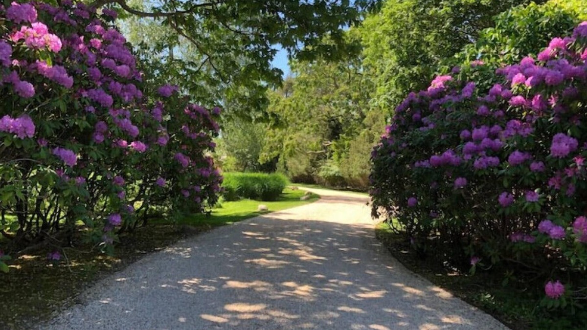 Bellport House | Exceptional Bellport Home