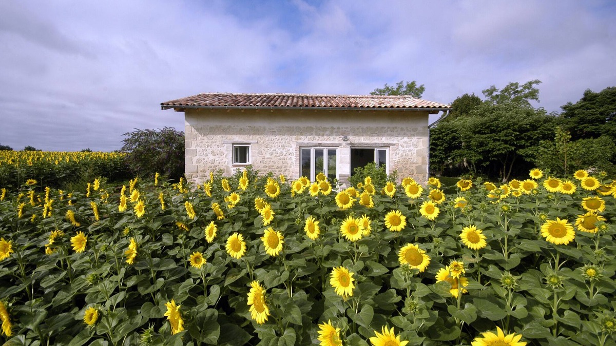 Birac-sur-Trec Cottage | Exceptional site for those who love the countryside, nature, calm, peace