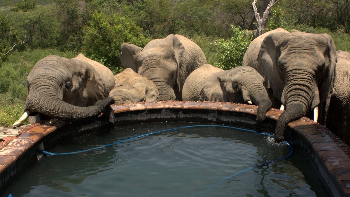 Rooiberg Cabin | Exclusive & amazing African experience at Private Game Reserve