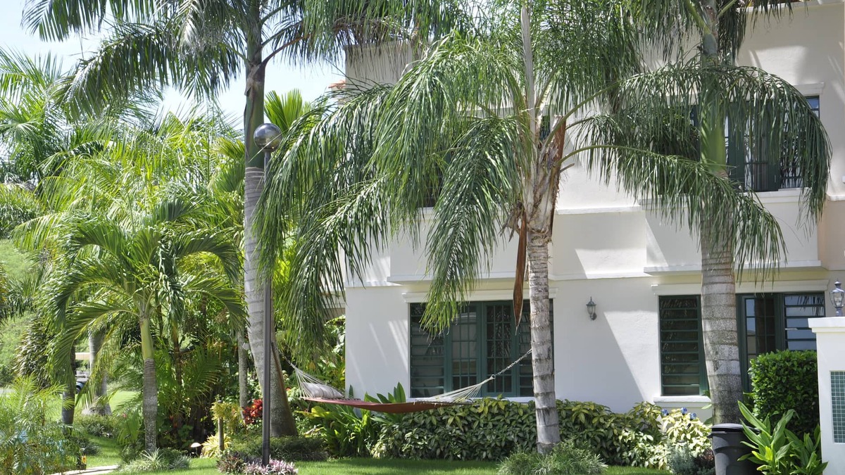 Calvache Villa | Exclusive Caribbean Villa/Rooftop Jacuzzi/Private Beach/24 Security/5 star