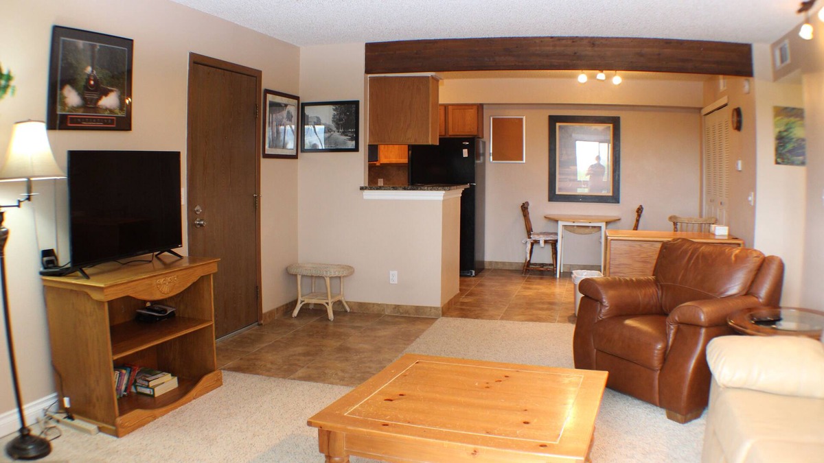 Union Square Condo | Executive, Fully Furnished, 3 month minimum or more Condo home, Very Nice!
